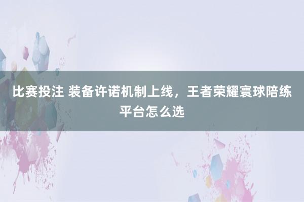 比赛投注 装备许诺机制上线，王者荣耀寰球陪练平台怎么选
