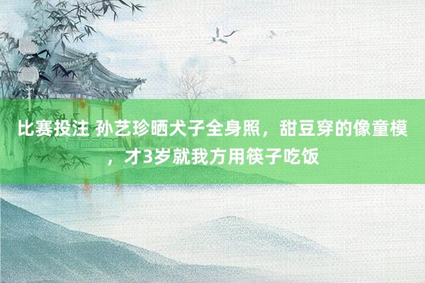 比赛投注 孙艺珍晒犬子全身照，甜豆穿的像童模，才3岁就我方用筷子吃饭