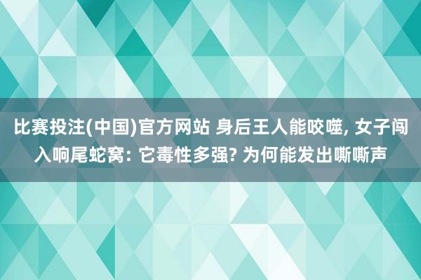 比赛投注(中国)官方网站 身后王人能咬噬， 女子闯入响尾蛇窝: 它毒性多强? 为何能发出嘶嘶声