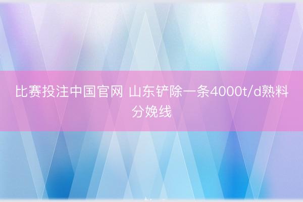 比赛投注中国官网 山东铲除一条4000t/d熟料分娩线